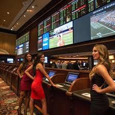 4477 bet